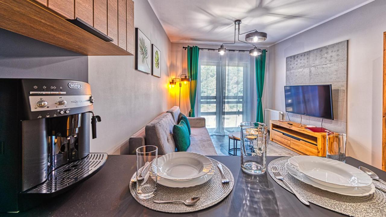 Mountain - 5d Apartment Swieradow-Zdroj