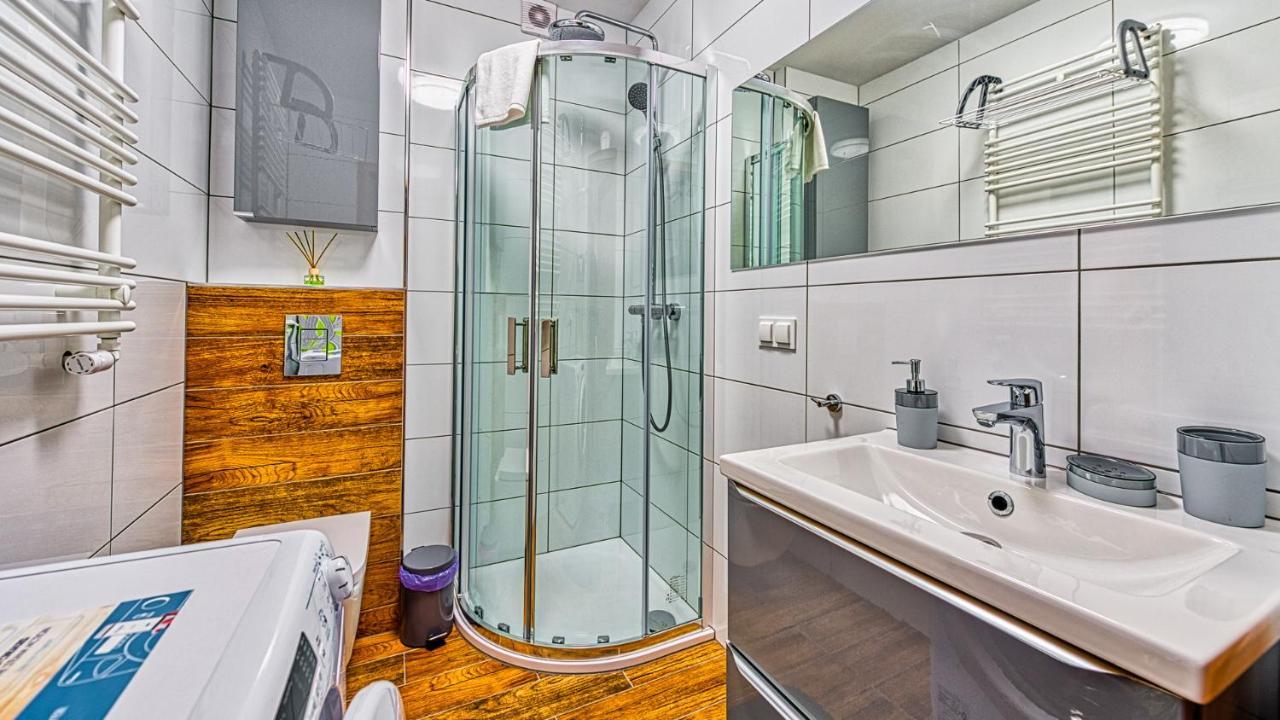 Mountain - 5d Apartment Swieradow-Zdroj